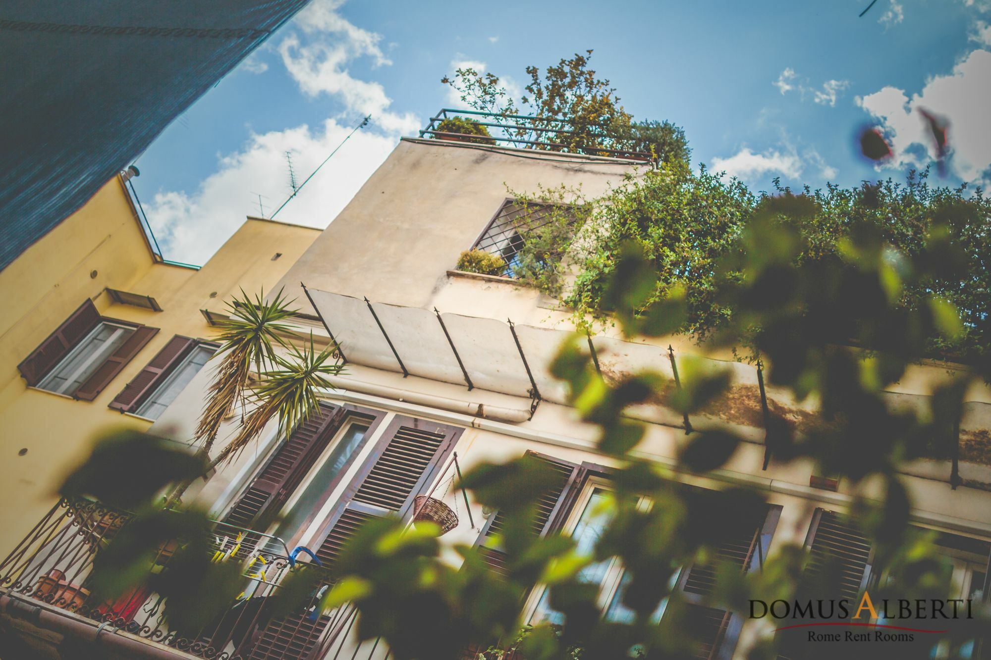 Domus Alberti Bed & Breakfast Bed & Breakfast Rome Exterior photo